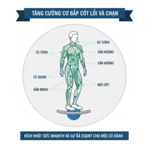 Bild, das die Rumpf- und Beinmuskulatur bei der Verwendung des Golf Balance Trainer Tool hervorhebt.